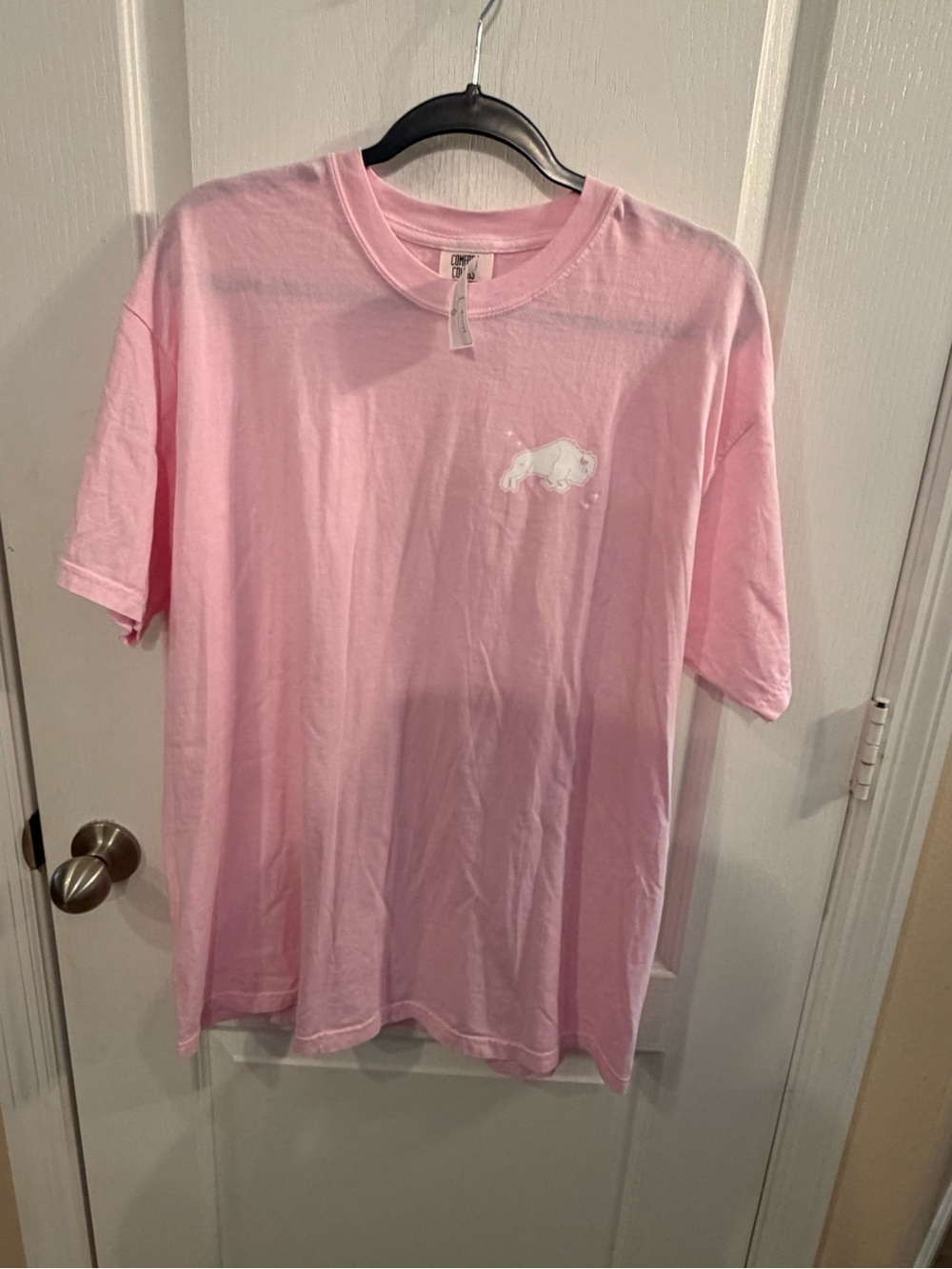 Comfort Colors Light Pink Kids Graphic Tee with Small White Design